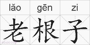 老根子的拼音