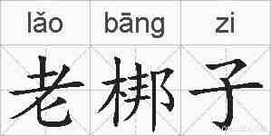 老梆子的拼音