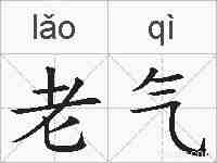 老气的拼音