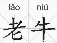 老牛的拼音