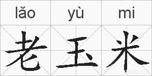 老玉米的拼音