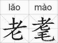 老耄的拼音