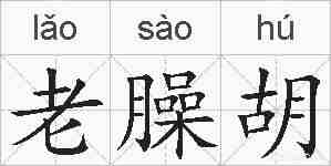 老臊胡的拼音