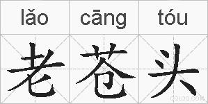 老苍头的拼音