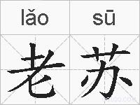 老苏的拼音