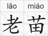 老苗的拼音