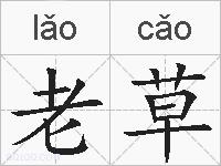 老草的拼音