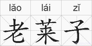 老莱子的拼音
