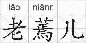 老蔫儿的拼音