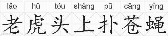 老虎头上扑苍蝇的拼音