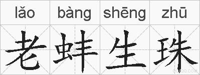 老蚌生珠的拼音