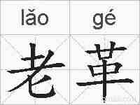 老革的拼音