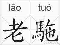 老駞的拼音