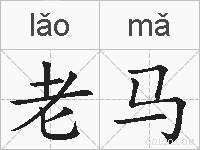 老马的拼音