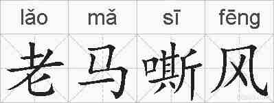 老马嘶风的拼音