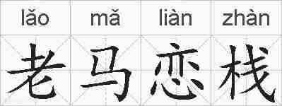 老马恋栈的拼音