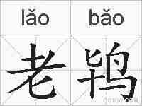 老鸨的拼音