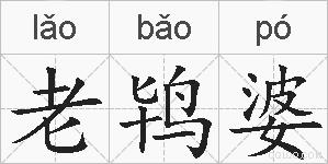 老鸨婆的拼音