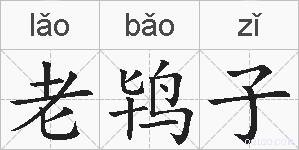 老鸨子的拼音