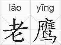 老鹰的拼音