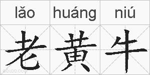 老黄牛的拼音