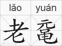 老鼋的拼音