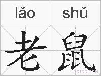 老鼠的拼音
