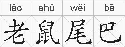 老鼠尾巴的拼音