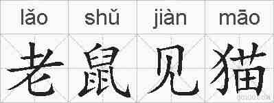 老鼠见猫的拼音