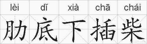 肋底下插柴的拼音