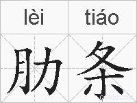 肋条的拼音