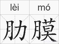肋膜的拼音