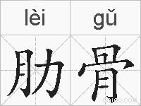 肋骨的拼音