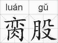 脔股的拼音