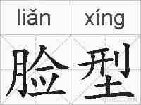 脸型的拼音