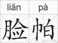 脸帕的拼音
