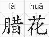 腊花的拼音