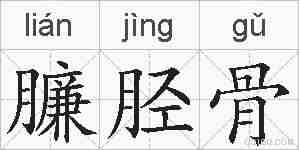 臁胫骨的拼音