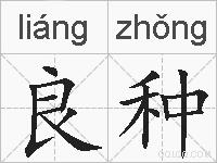 良种的拼音