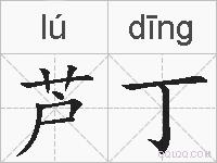 芦丁的拼音