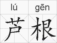 芦根的拼音