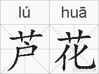 芦花的拼音