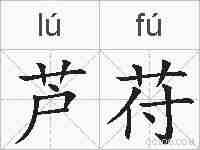 芦苻的拼音
