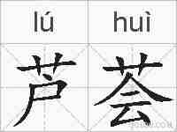 芦荟的拼音