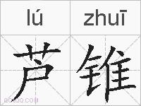芦锥的拼音