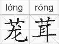 茏茸的拼音