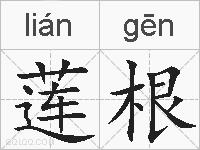 莲根的拼音