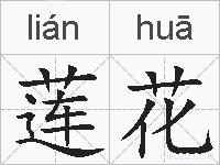 莲花的拼音