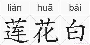 莲花白的拼音