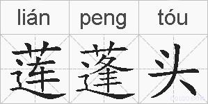 莲蓬头的拼音